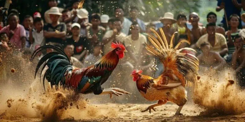 Các quy định thắng thua đã được cung cấp đầy đủ cho người tham gia Các quy định thắng thua đã được cung cấp đầy đủ cho người tham gia